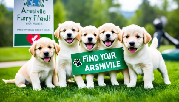 Asheville puppy adoption